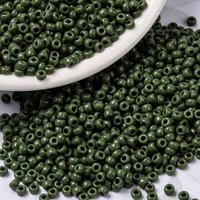MIYUKI Round Rocailles Beads X-SEED-G008-RR0501-1