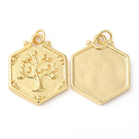 Eco-Friendly Rack Plating Brass Pendants KK-R143-16G-1