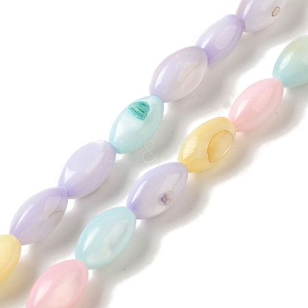 Rainbow Color Dyed Natural Freshwater Shell Beads Strands X1-SHEL-G018-02H-1