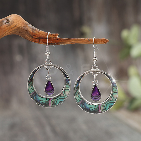 Bohemian Style Zinc Alloy Plastic Dangle Earrings FS-WG6C237-01-1