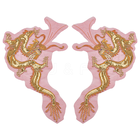 2Pcs 2 Styles Dragon Shape Polyester Embroidery Sew on Flower Appliques PATC-MA0001-36-1