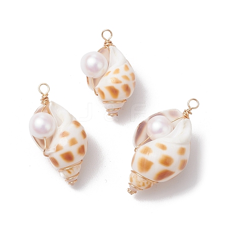 3Pcs Natural Shell Pendants PALLOY-JF03226-01-1