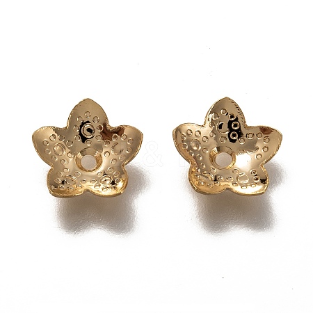 304 Stainless Steel Bead Caps LS-STAS-H130-25G-1