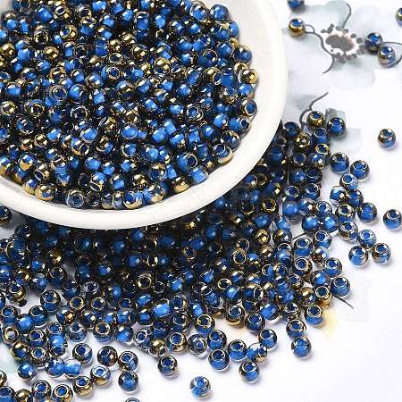 Glass Seed Beads SEED-H002-B-D215-1