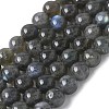 Natural Labradorite Beads Strands G-U017-8MM-01-2