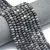 Natural African Black Opal Beads Strands G-P575-A31-6x4mm-1