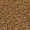 MIYUKI Round Rocailles Beads X-SEED-G007-RR4203-3
