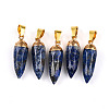Natural Lapis Lazuli Pendants G-N345-01G-1