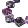 Natural Lepidolite Beads Strands G-G106-E01-01-3