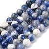 Natural Sodalite Beads Strand LS-GSR6mmC013-4