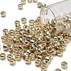 TOHO 3/0 Round Beads SEED-XTR03-PF0558-1