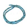 Natural Apatite Beads Strands G-E411-36-2mm-2