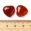 Natural Carnelian Cabochons G-F776-02A-02-3