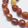 Natural Carnelian Beads Strands X-G-F547-04-B-3