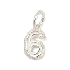 Number Series 925 Sterling Silver Charms STER-Q002-01G-1