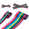 2Rolls 2 Styles Stripe Pattern Printed Polyester Grosgrain Ribbon OCOR-TA0001-37I-16