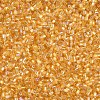 Glass Bugle Beads SEED-S032-10A-162-3