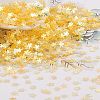 Plastic Sequins Beads PVC-R024-06A-3