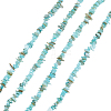 Natural Freshwater Shell Beads Strands BSHE-WH0006-05B-1