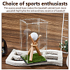Natural Wood Baseball Bat Home Display Decorations DIY-DC0003-77-5