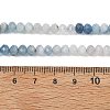 Natural Devil Blue Aquamarine Beads Strands G-NH0073-A01-6