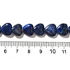 Natural Lapis Lazuli Beads Strands G-R190-10mm-54A-5