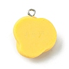 Opaque Resin Imitation Food Pendants RESI-R436-03A-2