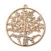 Zinc Alloy Pendants FIND-WH0044-69LG-1