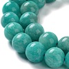 Natural Gemstone Amazonite Round Beads Strands G-O017-10mm-08C-6