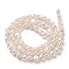 Natural Cultured Freshwater Pearl Beads Strands X1-PEAR-N014-04B-3