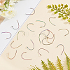 PVD Vacuum Plating 304 Stainless Steel Earring Hooks STAS-UN0018-15M-4