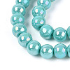 Electroplate Opaque Glass Beads Strands GLAA-T032-P6mm-AB24-3