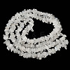 Natural Rainbow Moonstone Chip Beads Strands G-C195-01-3
