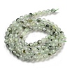 Natural Prehnite Beads Strands G-G140-A19-03-3