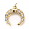 Brass Micro Pave Cubic Zirconia Pendants ZIRC-Q013-37G-1