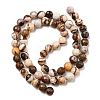 Natural Zebra Jasper Beads Strands G-C079-B01-01-3