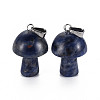 Natural Sodalite Pendants G-N0325-10K-2