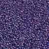 TOHO Round Seed Beads SEED-JPTR15-0252-2