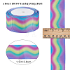 10M Gradient Color Polyester Grosgrain Ribbon OCOR-WH0078-74A-2