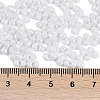 Baking Paint Glass Seed Beads X1-SEED-K010-A03-4