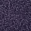 TOHO Round Seed Beads SEED-XTR11-0019F-2