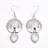 Brass Dangle Earrings EJEW-G240-B02-1