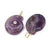 Natural Amethyst Pendants G-H353-02G-07-2