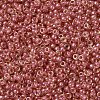 MIYUKI Round Rocailles Beads SEED-G007-RR0373-3