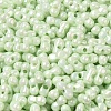 Opaque Colours Luster Glass Seed Beads X1-SEED-B001-01A-10-3