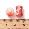 Mixed Style Glass Beads GLAA-XCP0012-02L-3