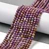 Natural Lepidolite Beads Strands G-G189-B06-02-2