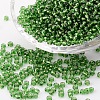 8/0 Glass Seed Beads SEED-US0003-3mm-27B-1