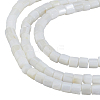 3 Strands Natural Freshwater Shell Beads Strands SHEL-HS0001-16-1