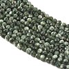 Natural Seraphinite Beads Strands G-K376-A02-2mm-4